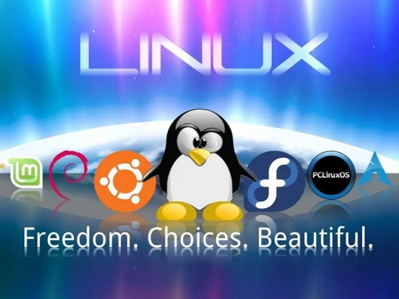【十】Linux文件系统管理