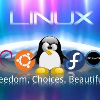Linux操作系统