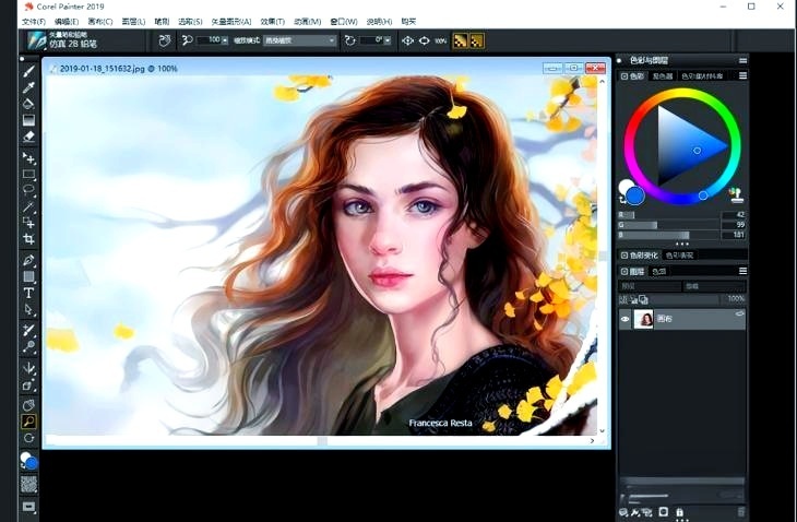 【绘图】CorelPainter：绘画界的“神器”，多样笔触与图层管理引领艺术新风尚