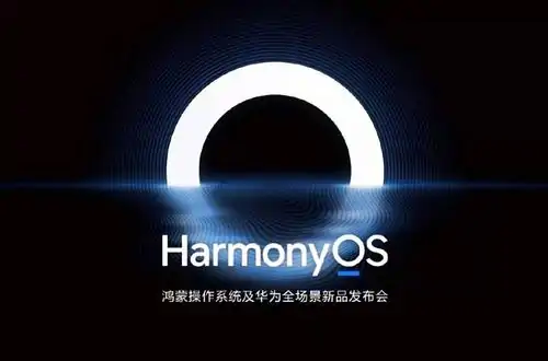 【系统编程】华为鸿蒙系统怎么进入开发者模式？