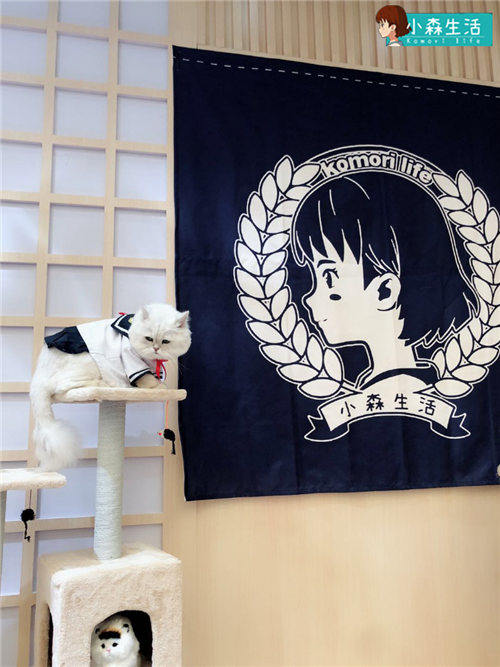 《小森生活》首次亮相线下漫展_游戏资讯-游民部落(gamecolg.com)