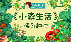 如何做一名合格的地主来《小森生活》佛系种地