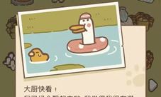 动物餐厅海德薇放东西攻略怎么装行李介绍