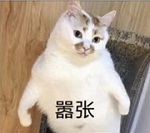 木与火之歌《盛世遮天》双元神上线!_游戏资讯-游民部落(gamecolg.com)