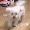 《盛世遮天》超强神器现世传奇大陆再起纷争!_游戏资讯-游民部落(gamecolg.com)