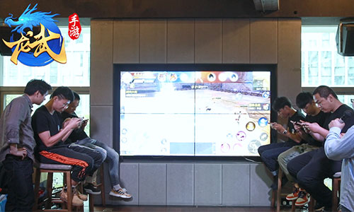 《龙武》手游巡回品鉴会:启动同名小说联动计划_游戏资讯-游民部落(gamecolg.com)
