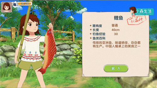 《小森生活》钓鱼玩法揭秘建造自己的水族馆_游戏资讯-游民部落(gamecolg.com)
