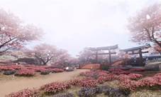 《楚留香》新地图蝙蝠岛探秘全新副本风云骤现