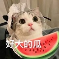 这瓜你吃定了!盘点《盛世遮天》中的多人运动!_C++语言-游民部落(gamecolg.com)