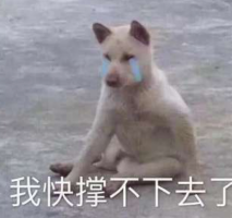 终于我再次成了《推理学院》这条gai最靓的仔_游戏资讯-游民部落(gamecolg.com)