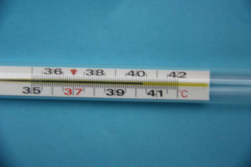 为玩游戏发烧40°?《鹿鼎记》手游玩家花式催测试_游戏资讯-游民部落(gamecolg.com)