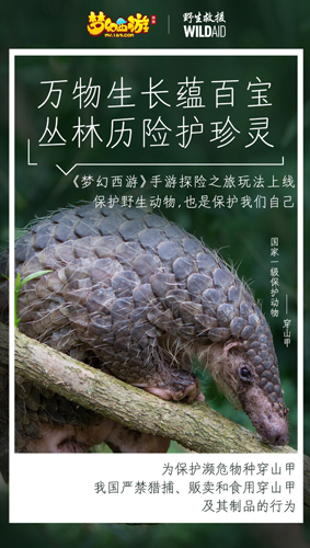 《梦幻西游》手游携手WildAid打造野生动物保护新玩法_游戏资讯-游民部落(gamecolg.com)
