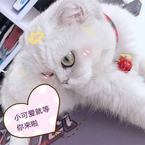 《传奇来了》开发团队Q&A你想知道的都在这里_游戏资讯-游民部落(gamecolg.com)