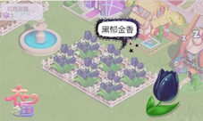 不说真不知道《衣之国》初学必知“五朵金花”