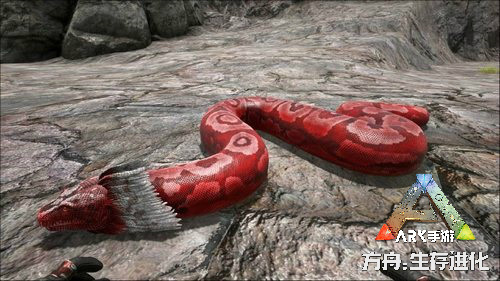 《方舟:生存进化》手游“丁香墓地”地牢上线_游戏资讯-游民部落(gamecolg.com)