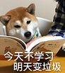 《盛世遮天》幻兽新外观主人帮我换件衣服可好?_游戏资讯-游民部落(gamecolg.com)