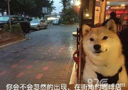 过春节玩什么游戏好长假能不能顺利撩妹就看你了_游戏资讯-游民部落(gamecolg.com)