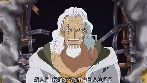 路飞的授业恩师在《航海王:燃烧意志》登场!_游戏资讯-游民部落(gamecolg.com)