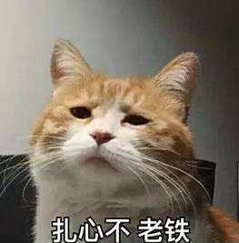最美春分时《姬魔恋战纪》竟是脱单神器!_游戏资讯-游民部落(gamecolg.com)