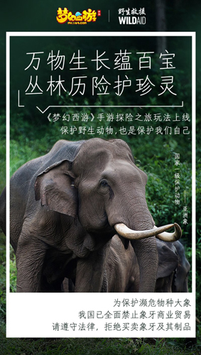 《梦幻西游》手游携手WildAid打造野生动物保护新玩法_游戏资讯-游民部落(gamecolg.com)