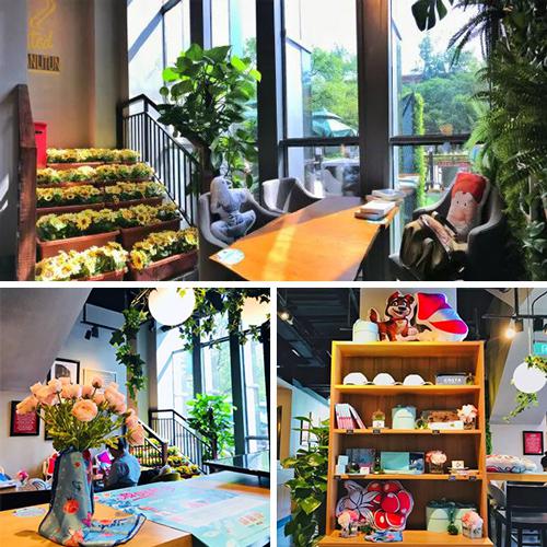 《梦幻花园》联合COSTA打造主题咖啡店_游戏资讯-游民部落(gamecolg.com)