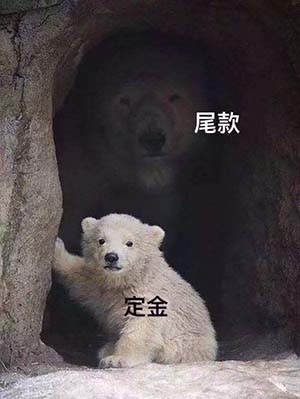 双11的伶仃《末世觉醒之入侵》细胞解析_游戏资讯-游民部落(gamecolg.com)