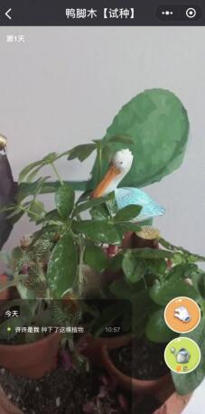 《水滴农场》让你真实浇花让你成就感无限_游戏资讯-游民部落(gamecolg.com)