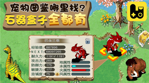 宠物图鉴哪里找《石器盒子》全都有!_游戏资讯-游民部落(gamecolg.com)