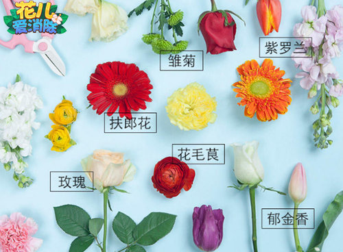 翘首期待《花儿爱消除》安卓平台明日上线_游戏资讯-游民部落(gamecolg.com)