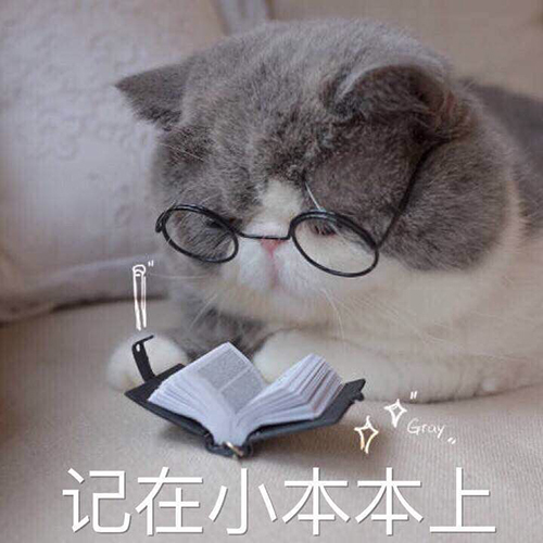 吸猫一时爽呆萌手游《西蒙的猫跑酷》火爆预约中_游戏资讯-游民部落(gamecolg.com)