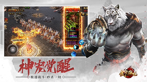 《武圣屠龙》神宠进化,无限石化横扫BOSS_游戏资讯-游民部落(gamecolg.com)