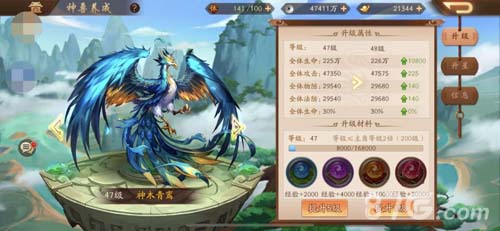 少年三国志2神木青鸾怎么样金神兽神木青鸾属性介绍_C++语言-游民部落(gamecolg.com)