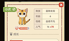 猫语咖啡小虎怎么样技能介绍攻略