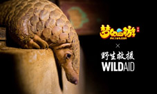 《梦幻西游》手游携手WildAid打造野生动物保护新玩法