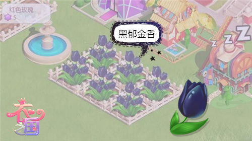 不说真不知道《衣之国》初学必知“五朵金花”_游戏资讯-游民部落(gamecolg.com)