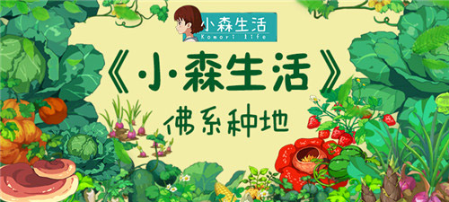 如何做一名合格的地主来《小森生活》佛系种地_游戏资讯-游民部落(gamecolg.com)