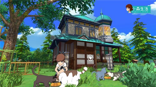 有房有地还有猫《小森生活》宠物猫系统曝光-游民部落(gamecolg.com)