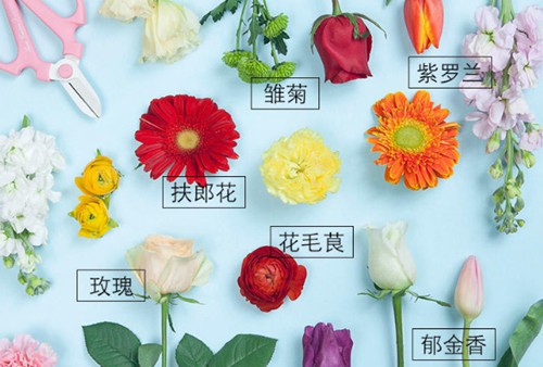 《花儿爱消除》本周安卓平台上线预约送鲜花_游戏资讯-游民部落(gamecolg.com)
