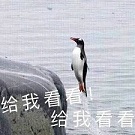 全民摆摊时代带上你的兄弟来《盛世遮天》摆摊吧!_游戏资讯-游民部落(gamecolg.com)