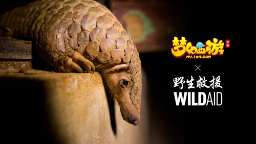《梦幻西游》手游携手WildAid打造野生动物保护新玩法_游戏资讯-游民部落(gamecolg.com)