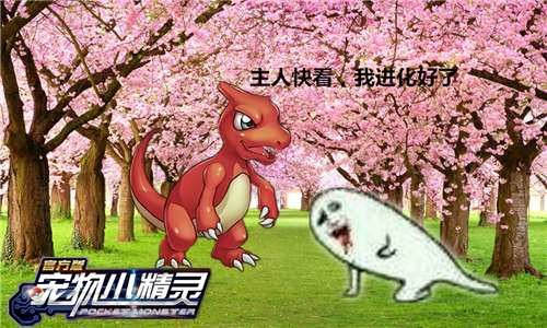 论《宠物小精灵》小火龙成长心路历程进化_游戏资讯-游民部落(gamecolg.com)