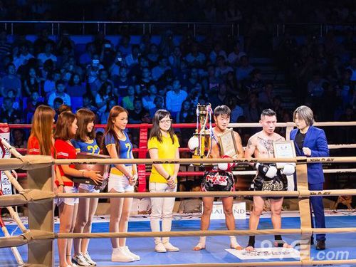 武极天下中泰泰拳冠军联赛圆满结束_游戏资讯-游民部落(gamecolg.com)