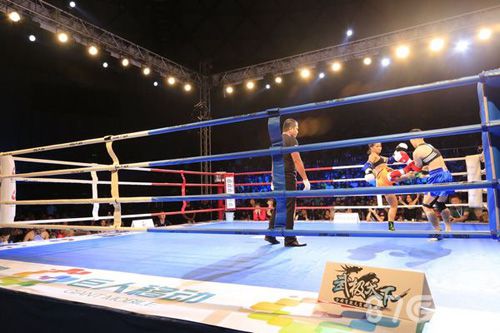 武极天下中泰泰拳冠军联赛圆满结束_游戏资讯-游民部落(gamecolg.com)