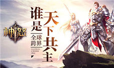 吸猫有毒撸猫上瘾《神怒》宠物省心省事