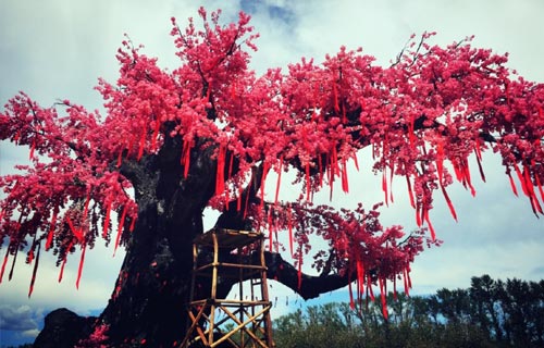 《三生三世十里桃花》手游带你游历仙侠世界_游戏资讯-游民部落(gamecolg.com)