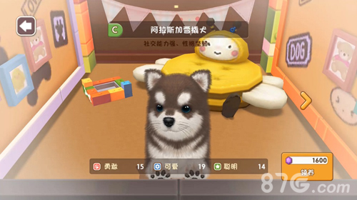 韩寒爱宠马达卖萌推荐《小汪汪》手游可爱来袭_游戏资讯-游民部落(gamecolg.com)