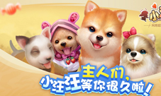 惊喜爆棚《小汪汪》四款宝箱随机开启