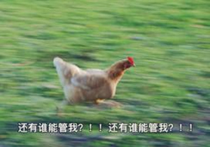 英雄来挂机续写另类帝王篇一个喜欢野兽Play的皇帝_游戏资讯-游民部落(gamecolg.com)