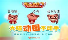 2018抢红包必备《喵星大作战》贱萌表情上线