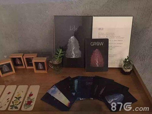手游也能秀色可餐《万物生长》跨界艺术与美食_游戏资讯-游民部落(gamecolg.com)